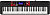 Casio CT-S1000V