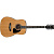 Ibanez PF17-LG