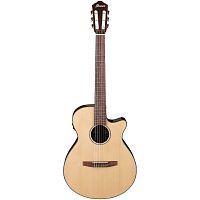 Ibanez AEG50N-NT