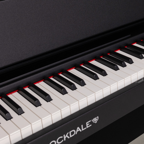 Rockdale Rondo Black фото 17
