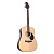 Greg Bennett GD100RS/N