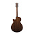 Ibanez AEG50-DHH