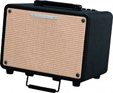 Ibanez T30-U Troubadour Acoustic Combo