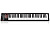 iCON iKeyboard 6S ProDrive III