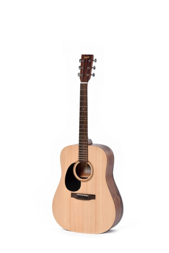 Ditson D-10