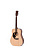 Ditson D-10