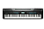 Kurzweil KA120