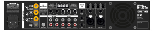 CVGaudio M-123Tm фото 3