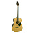 Greg Bennett GA60/N