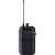 Shure P3R M16