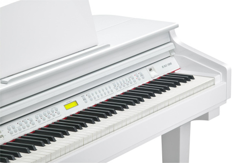 Kurzweil KAG100 WHP фото 3