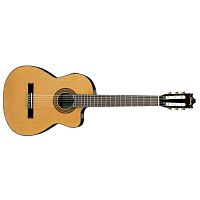 Ibanez GA6CE-AM