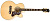 Epiphone EJ-200CE