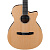 Ibanez AEG7TN-NT