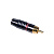 Invotone RCA500M RD