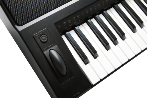 Kurzweil KP200 LB фото 9