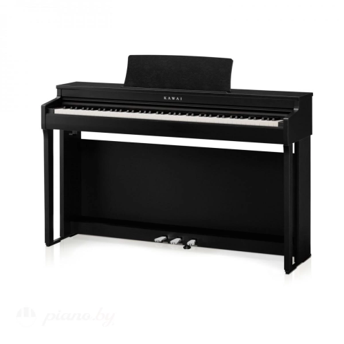 Kawai CN201 B