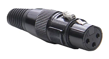 Invotone XLR3F300