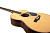 Greg Bennett GA60/N