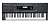 Kurzweil KP100