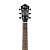 Ibanez AEWC11-TCB