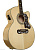 Epiphone EJ-200CE
