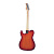 RedHill TLX100 CS