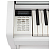 Kawai CA59 W