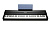 Kurzweil MPS110