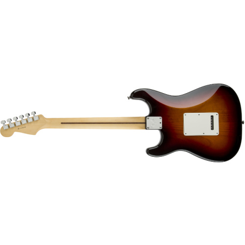Fender American Standard Stratocaster HSS Shawbucker MN фото 2