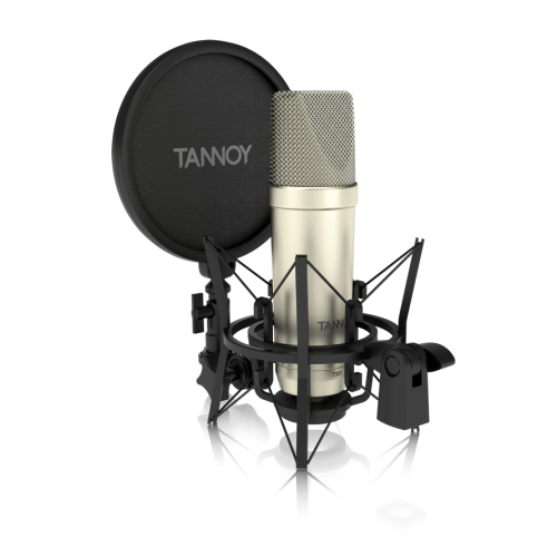 Tannoy TM1 фото 2