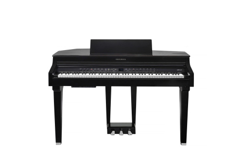 Kurzweil CUP G1W BP фото 16