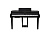 Kurzweil CUP G1W BP