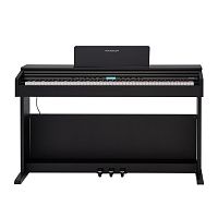 ROCKDALE ETUDE 256 BK