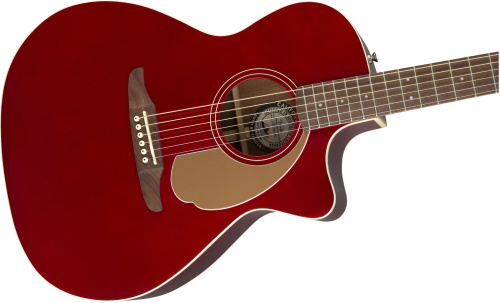 Fender Newporter Player CAR фото 2