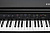 Kurzweil CUP G1W BP