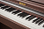 Becker BDP-92R