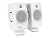 ADAM D3V White