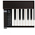 Kawai CN29B