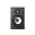 Focal Shape 65