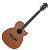 Ibanez AEG7MH-OPN