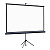 Lumien Eco View LEV-100114