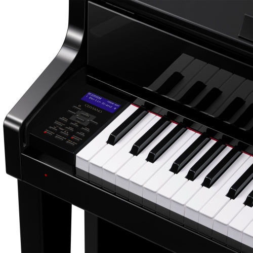 Casio GP-510BP фото 2