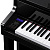 Casio GP-510BP