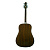 Greg Bennett GD101S/N