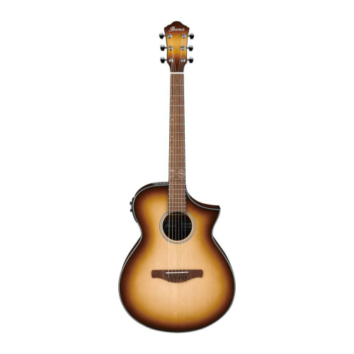 Ibanez AEWC11-NNB