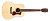 Guild D-240E NT