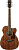 IBANEZ AC340CE-OPN