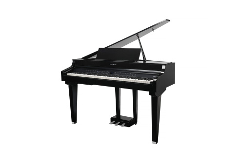 Kurzweil CUP G1W BP фото 8