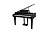 Kurzweil CUP G1W BP